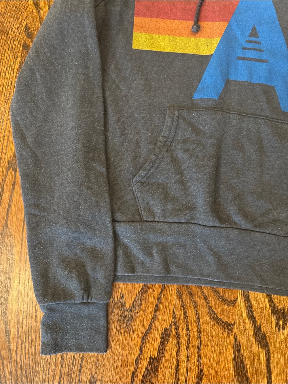 Aviator Nation Charcoal Gray Logo Hoodie Sweatshirt - Picture 4 of 7